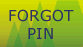 Forgot PIN